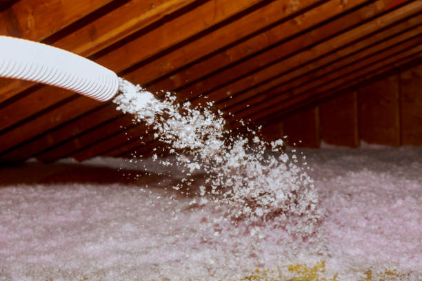 Best Insulation Inspection Services  in Elmwood, IL
