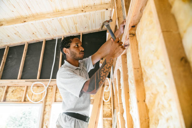 Best Local Insulation Services  in Elmwood, IL