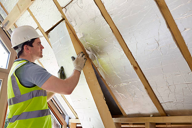 Best Attic Insulation Installation  in Elmwood, IL